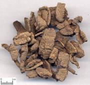 Morinda officinalis 